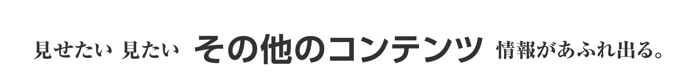 その他のコンテンツ情報