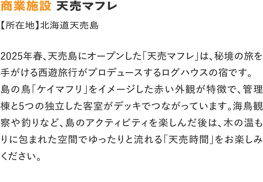 ログハウスのビックボックス,商業施設,天売マフレ