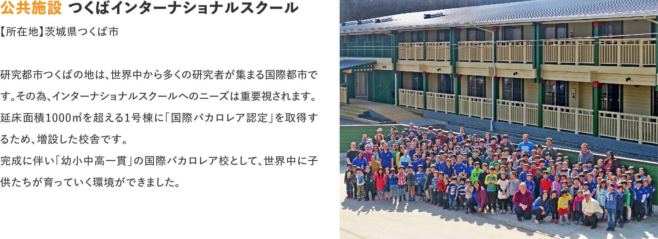 ログハウスのビックボックス,つくばインターナショナル,tis