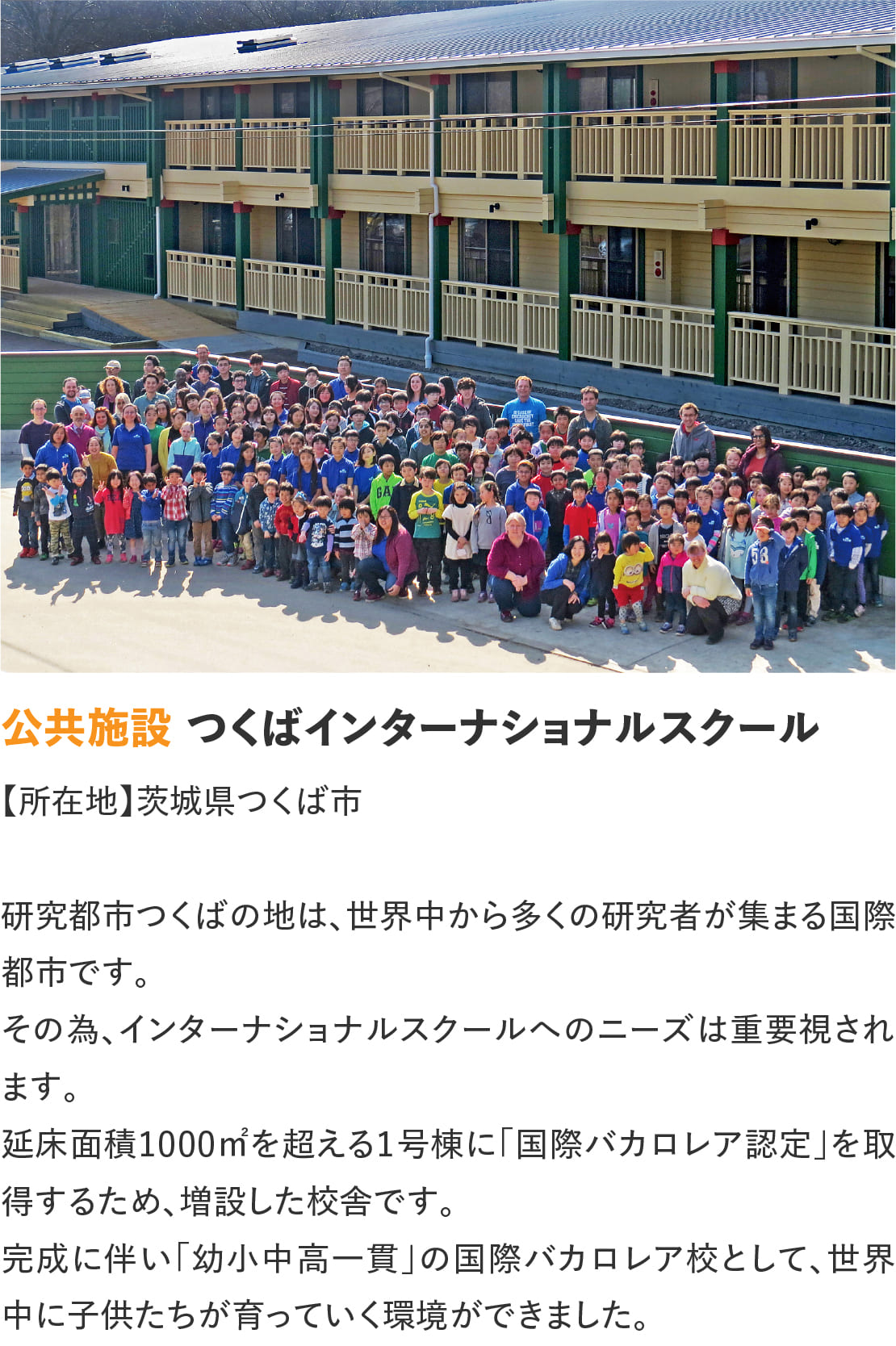 ログハウスのビックボックス,つくばインターナショナル,tis