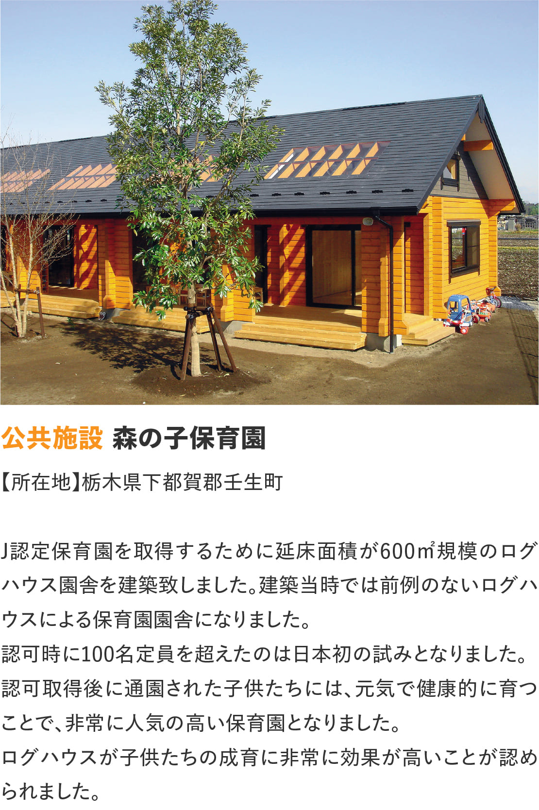 ログハウスのビックボックス,森の子保育園