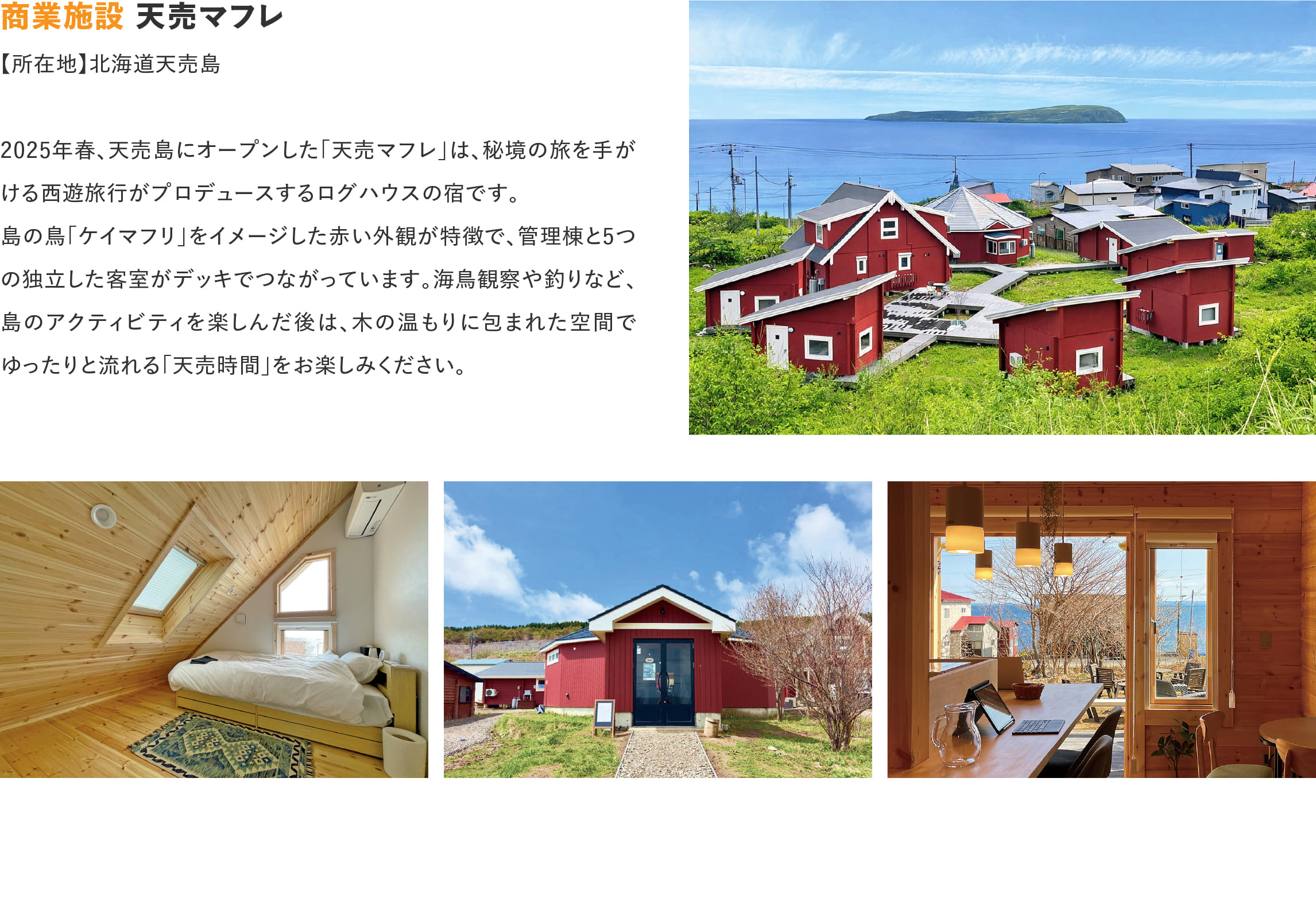 ログハウスのビックボックス,商業施設,天売マフレ