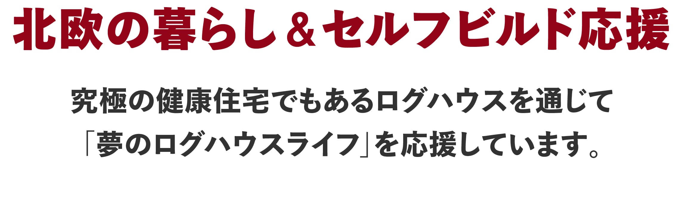 ビックボックスキャンペーン