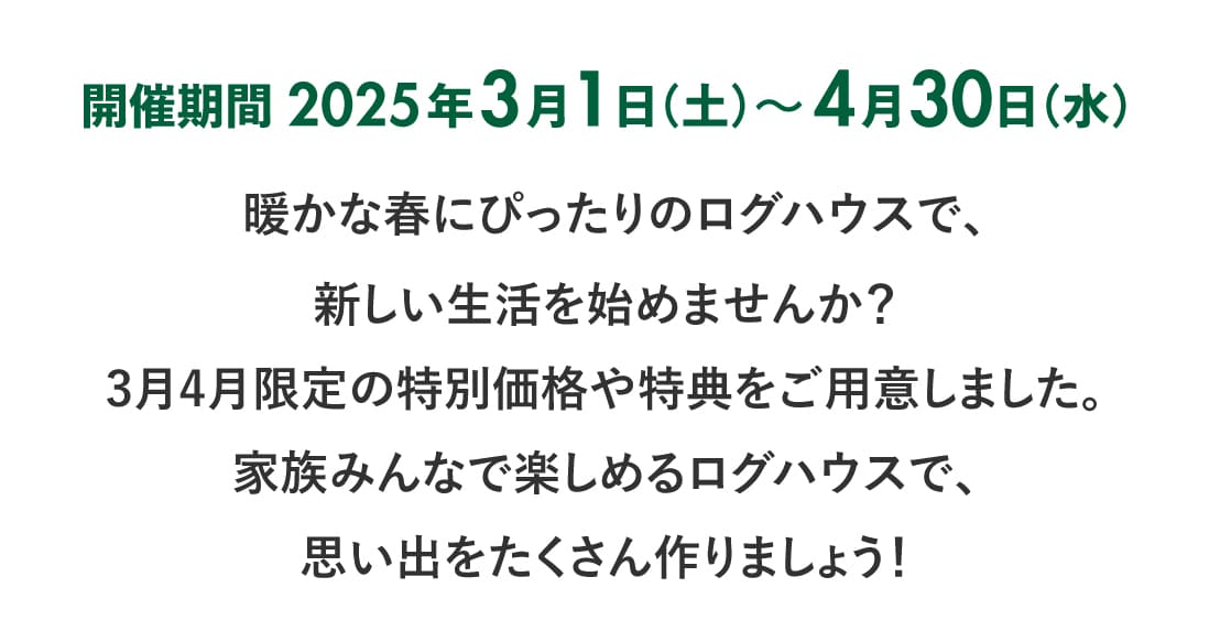 ログハウス,ビックボックスキャンペーン