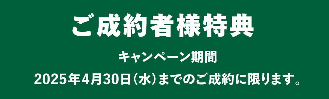 ログハウス,ビックボックスキャンペーン