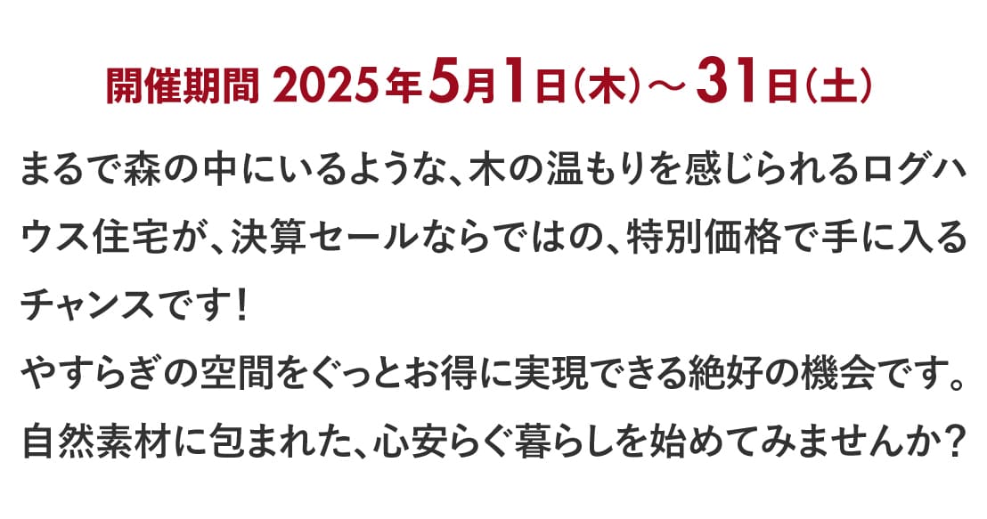 ログハウス,ビックボックスキャンペーン