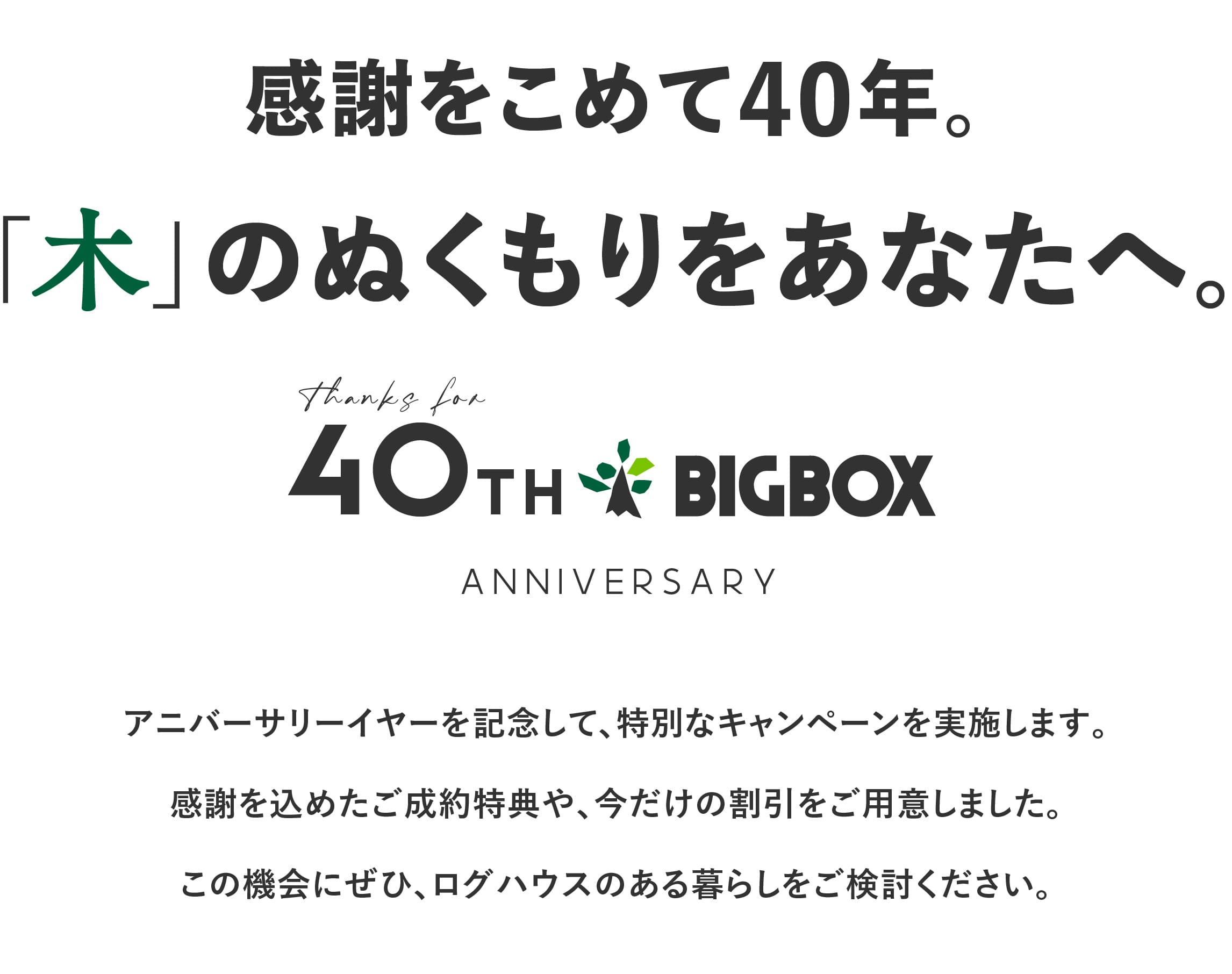 ログハウス,ビックボックスキャンペーン
