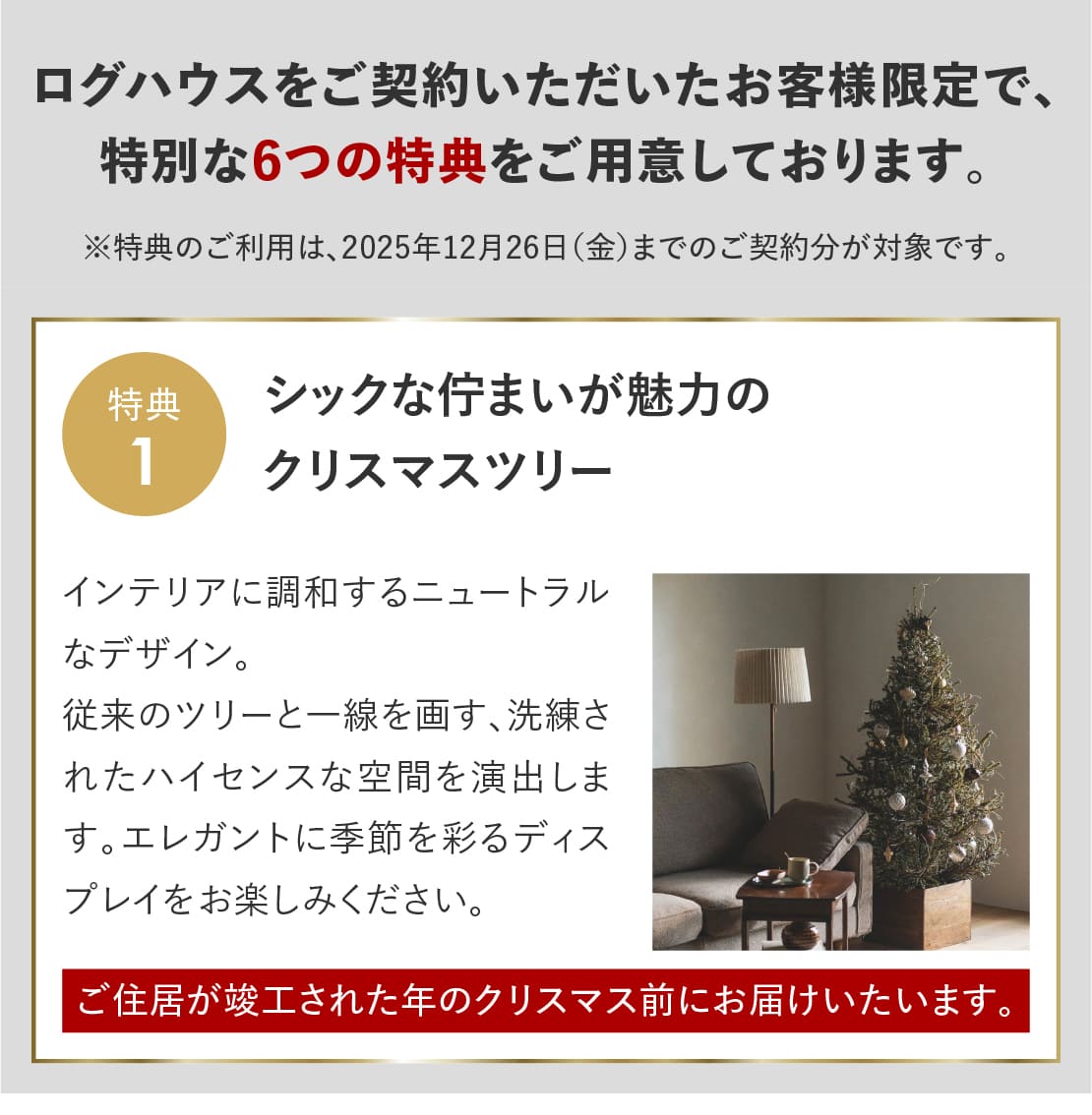 ログハウス,ビックボックスキャンペーン,クリスマスツリー