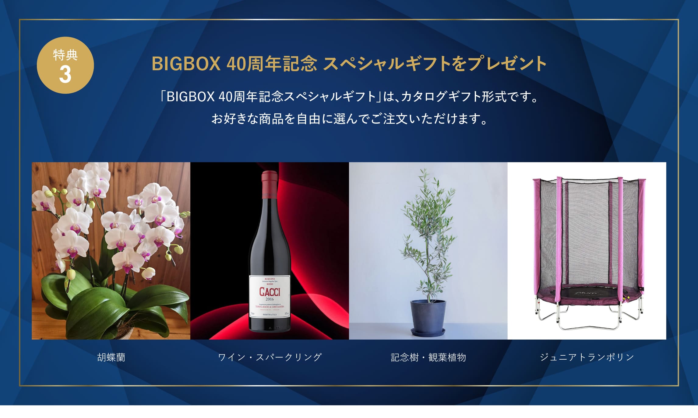 ログハウス,ビックボックスキャンペーン