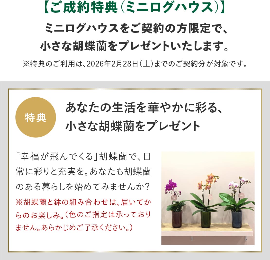 ログハウス,ビックボックスキャンペーン