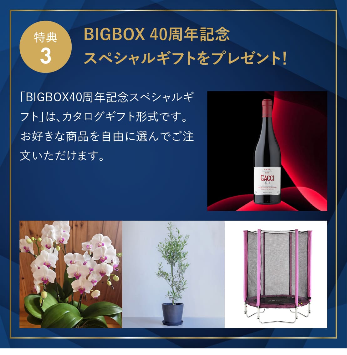 ログハウス,ビックボックスキャンペーン