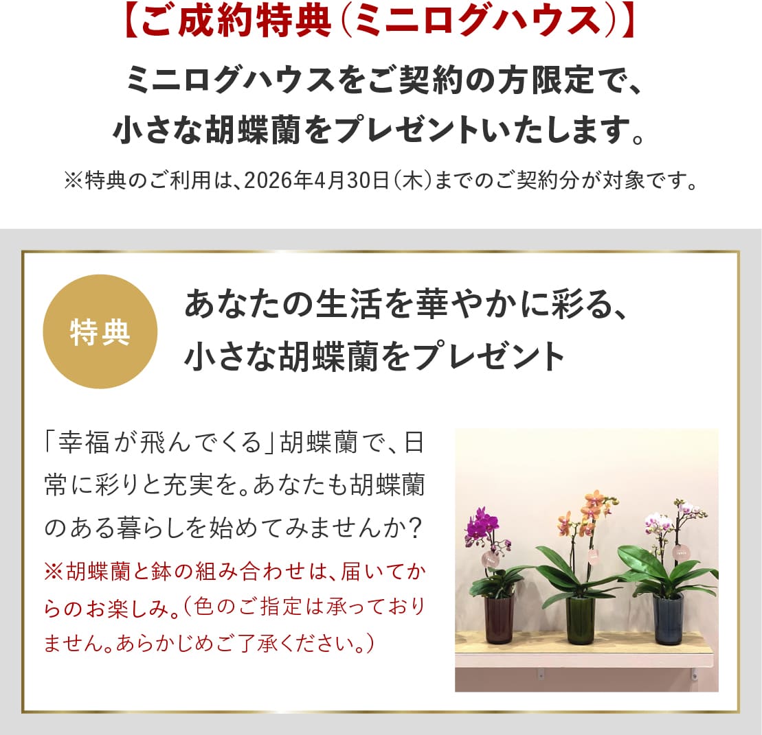 ログハウス,ビックボックスキャンペーン