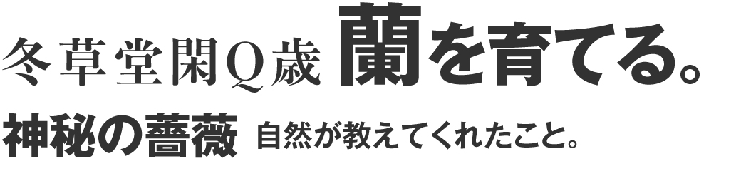 ガーデナー生活 神秘の薔薇