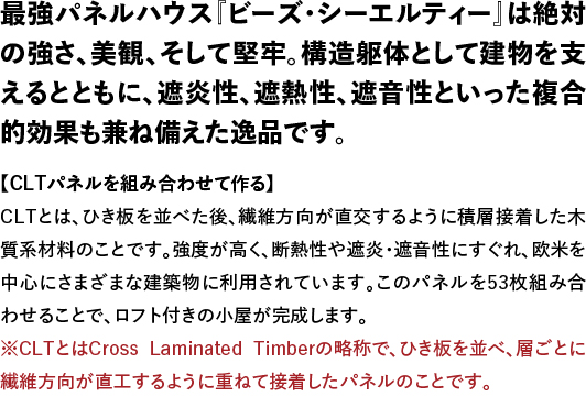 ビーズＣＬＴ