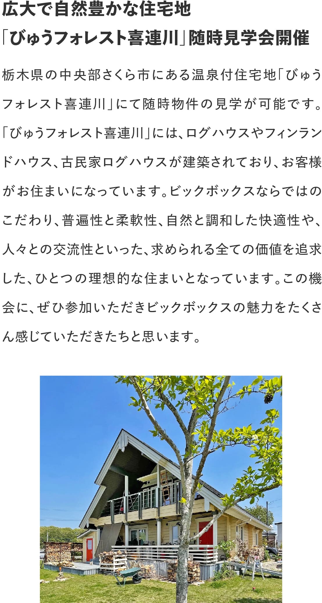 ログハウスのビックボックス,ログハウス物件見学