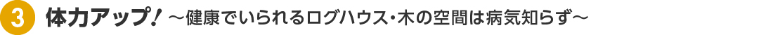 体力アップ  〜健康でいられるログハウス・木の空間は病気知らず〜