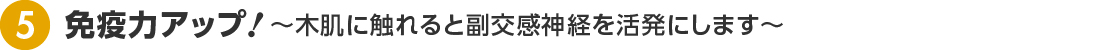 免疫力アップ  〜木肌に触れると副交感神経を活発にします〜