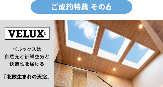 フィンログハウスキャンペーン特典１