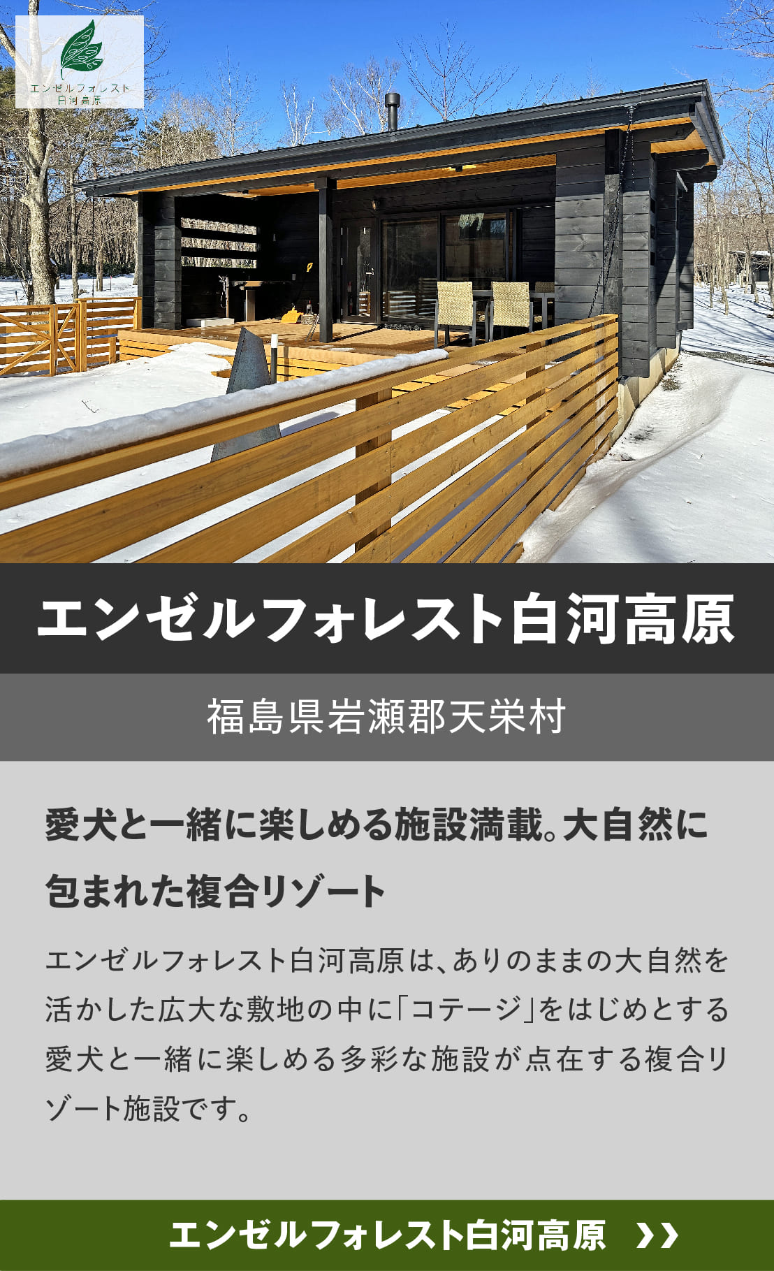 ログハウスのビックボックス,宿泊,エンゼルフォレスト
