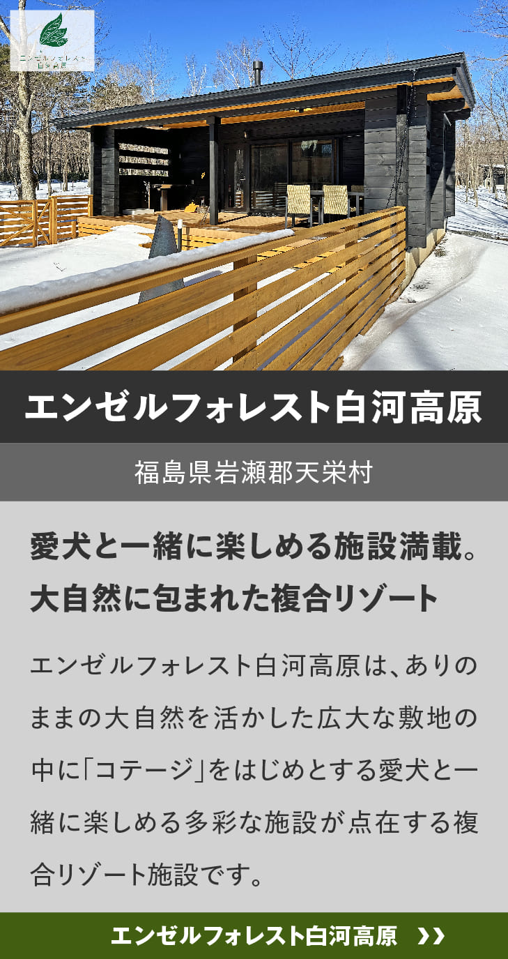 ログハウスのビックボックス,宿泊,エンゼルフォレスト