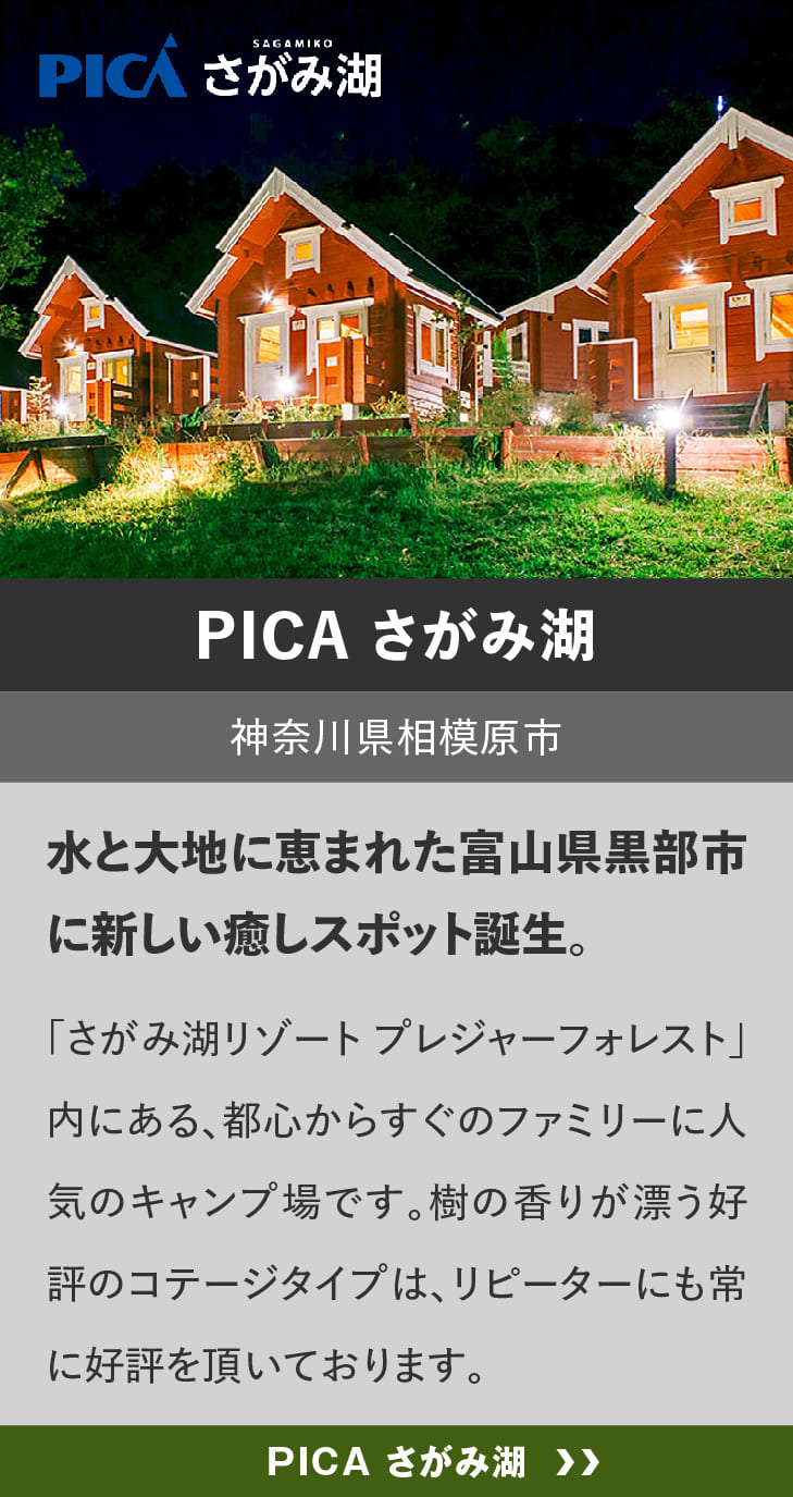 ログハウスのビックボックス,キャンプ,宿泊,ＰＩＣＡさがみ湖