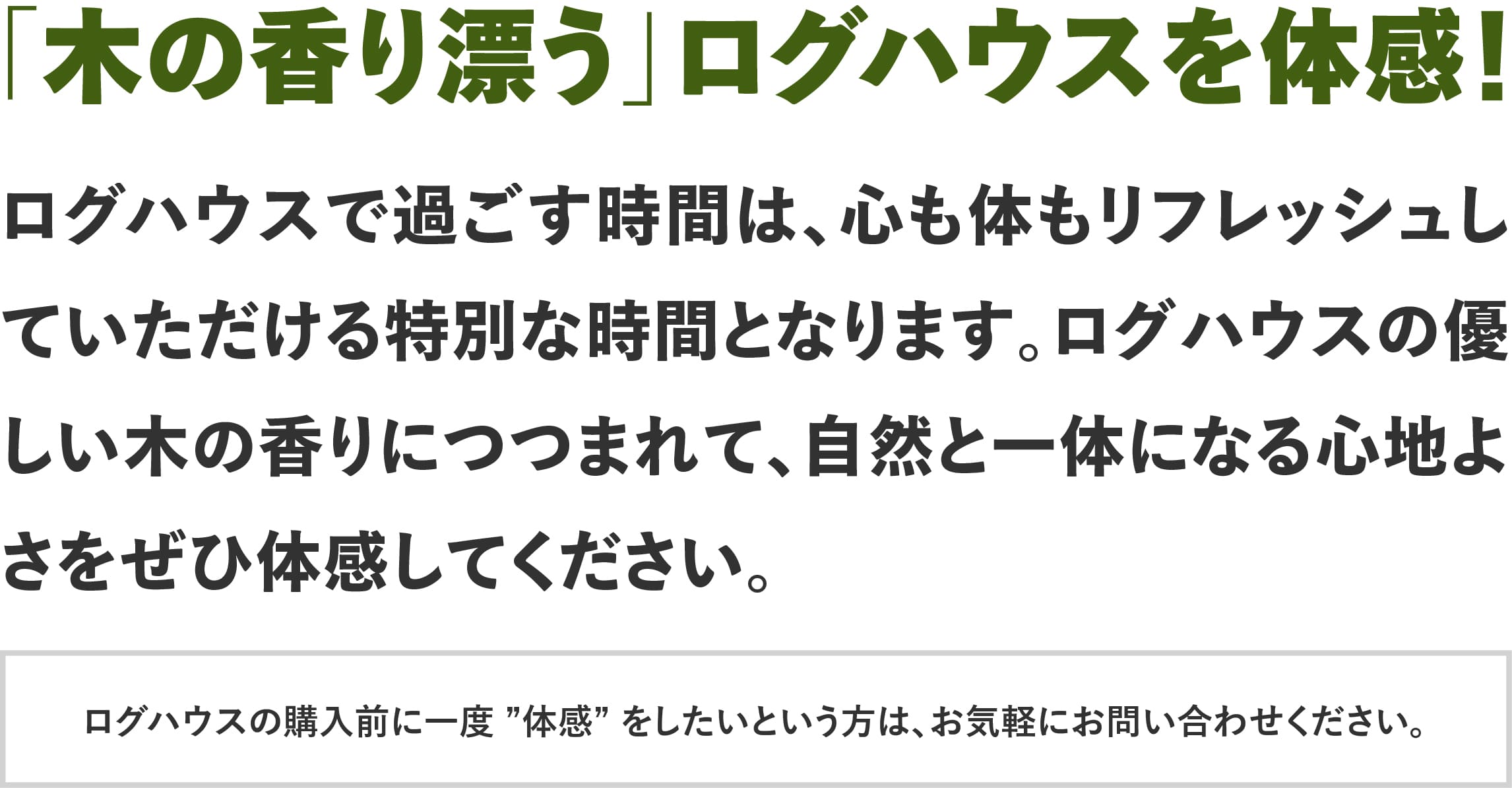 ログハウスのビックボックス,ログハウス体感