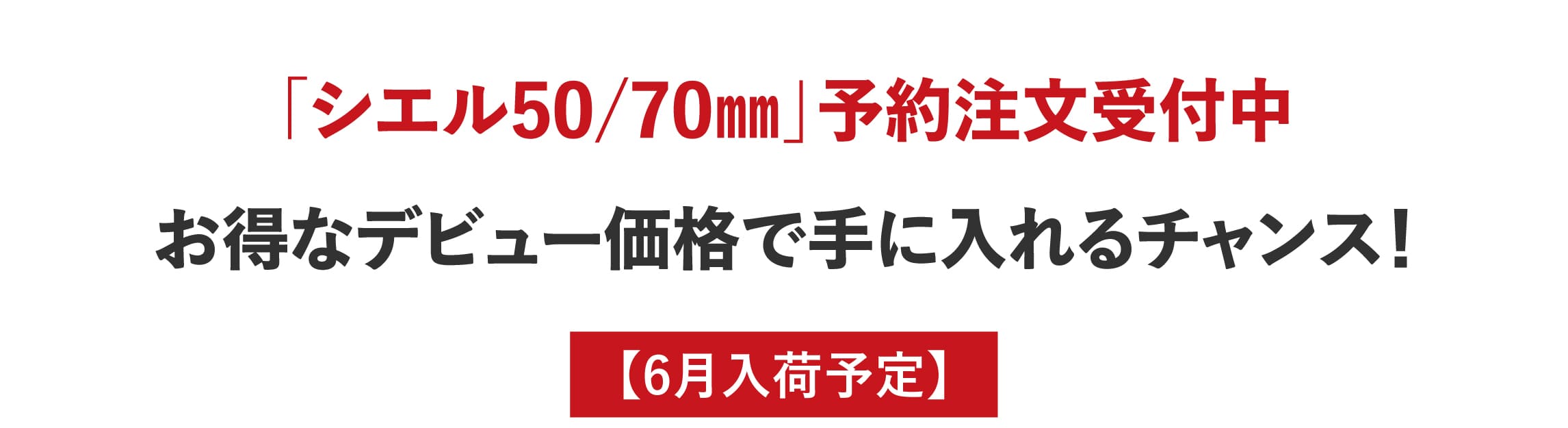 ロフト付きミニログハウス,シエル