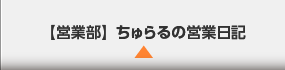 ちゅらるの営業日記（営業部）