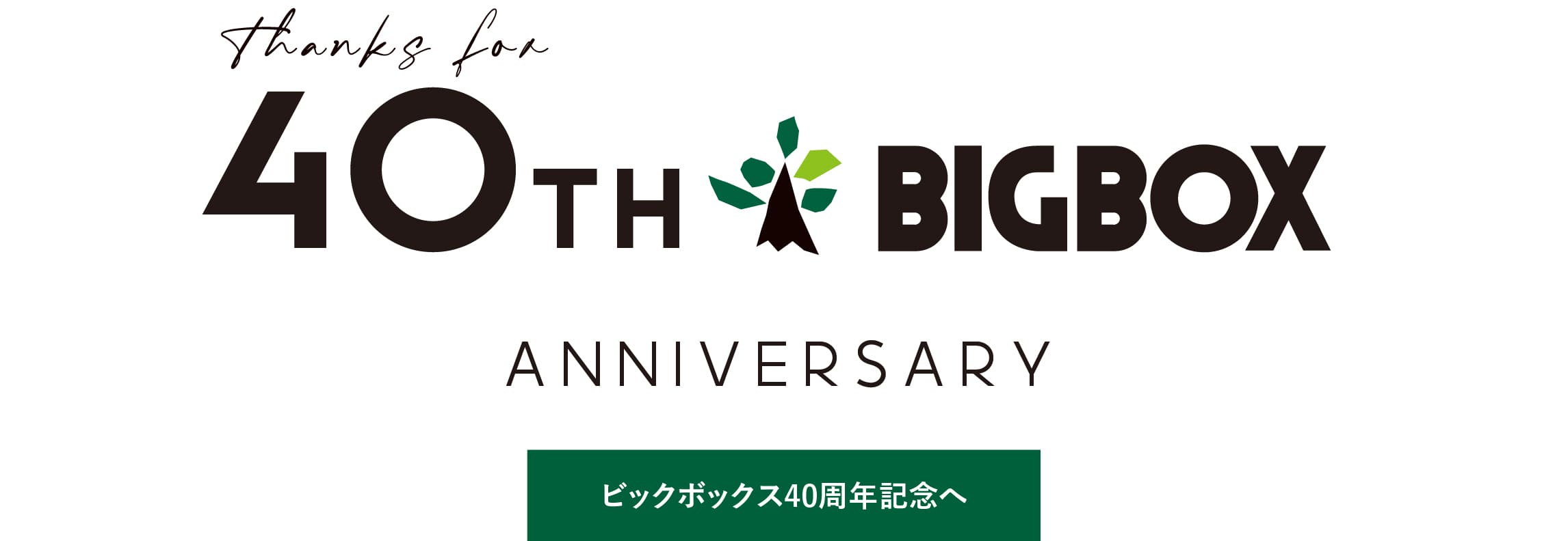 ログハウスのビックボックス,40周年記念