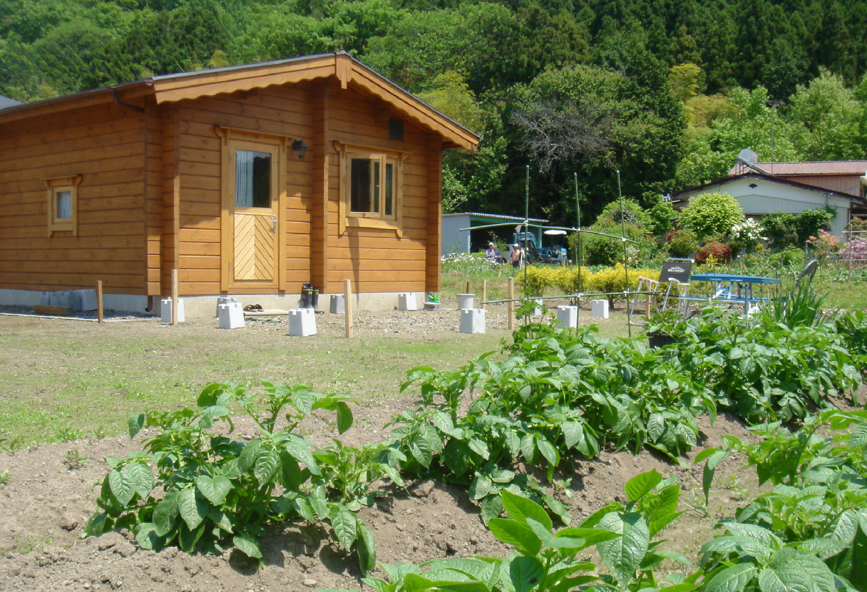 Image 5