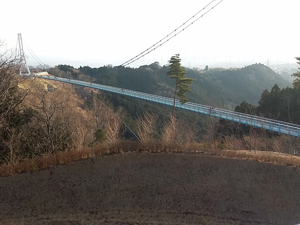 三島スカイウォークの現場