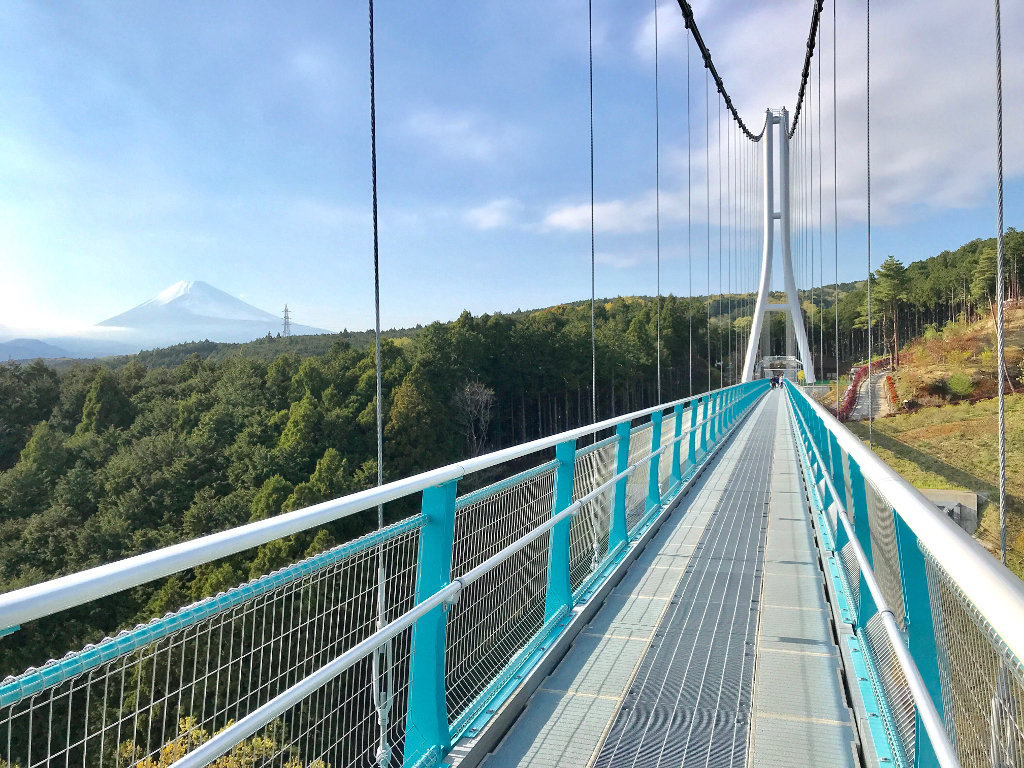 富士山と三島スカイウォークのログ