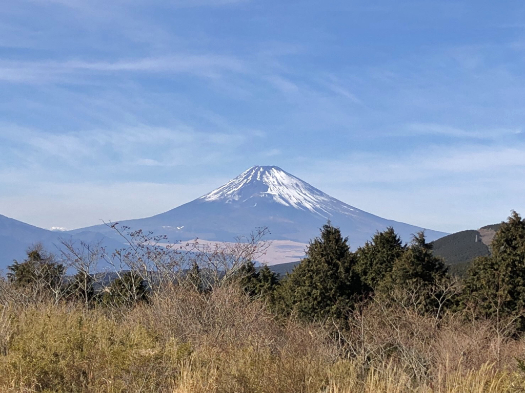 真冬の富士と海の静岡へ!