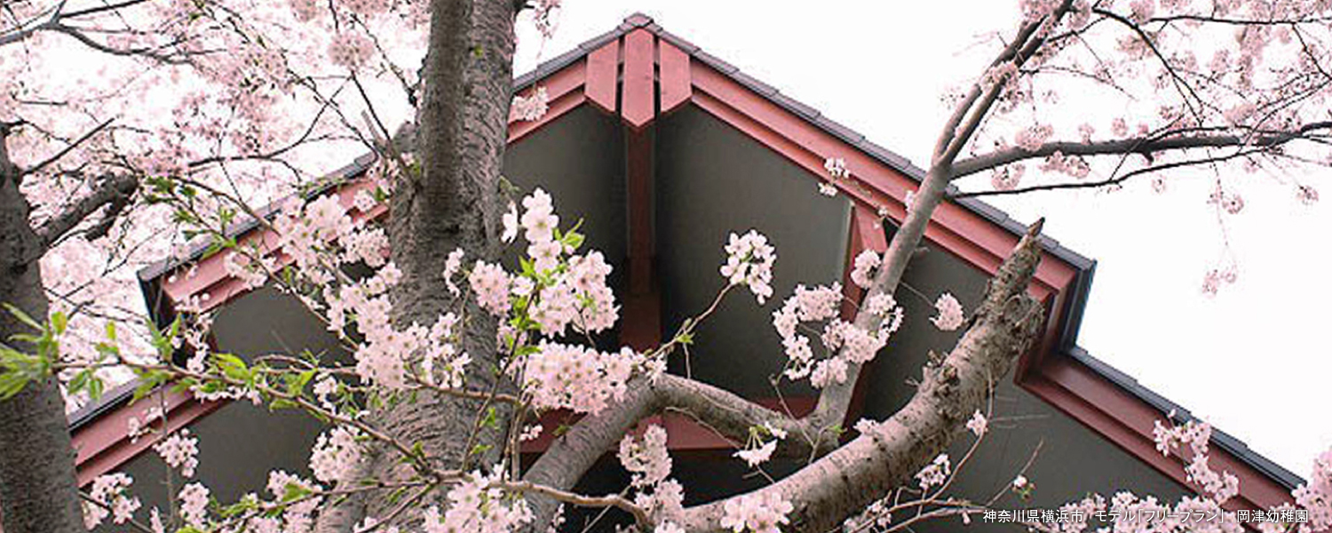 ログハウス,桜,開花