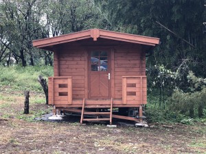 E6367FCB-7272-44BA-AFC9-E523FD227E5C