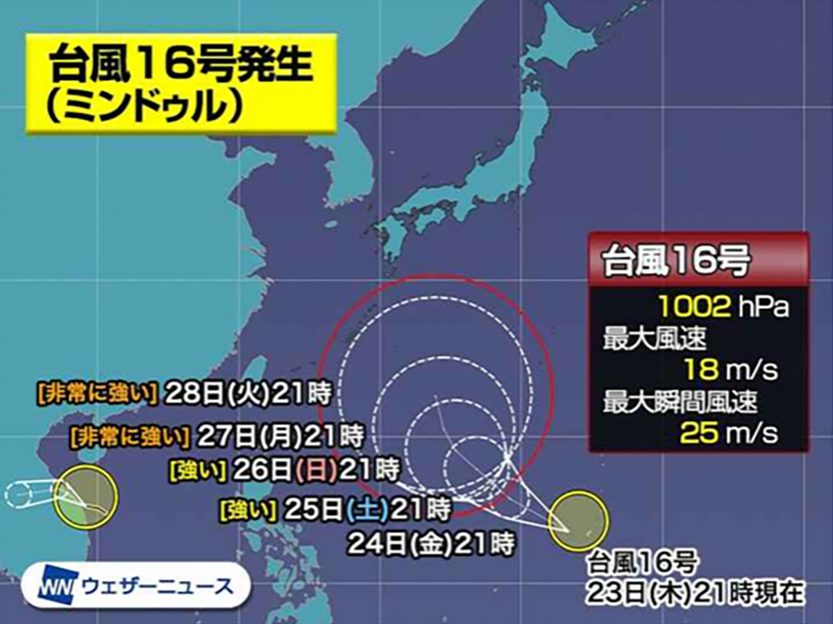 今年も台風、頭イタ！