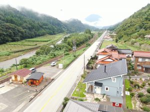 ログたちと青野山