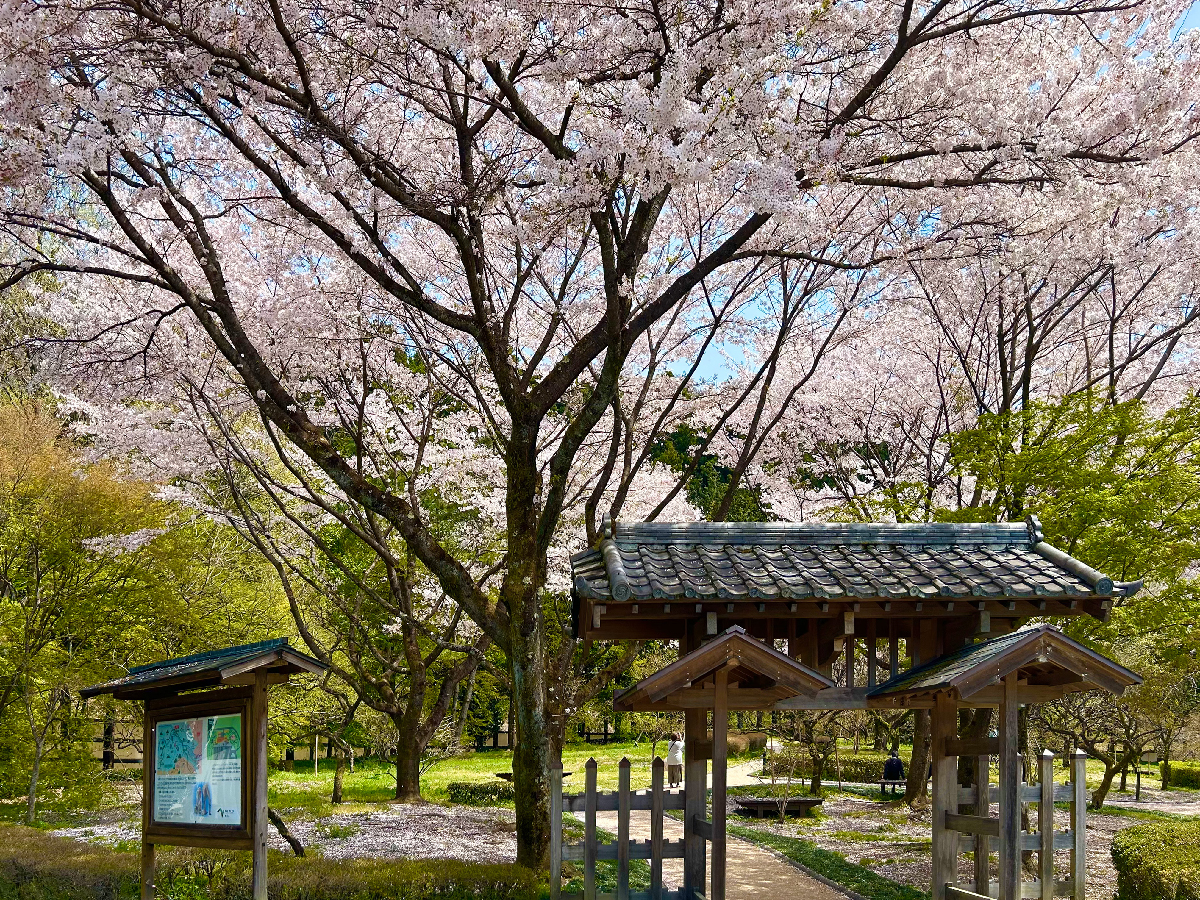 EBIの建築探訪 軽井沢編