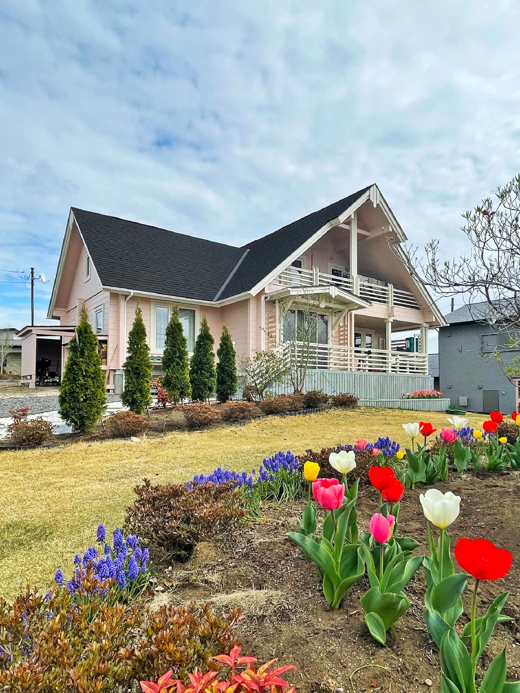 ログハウスお住まい見学会